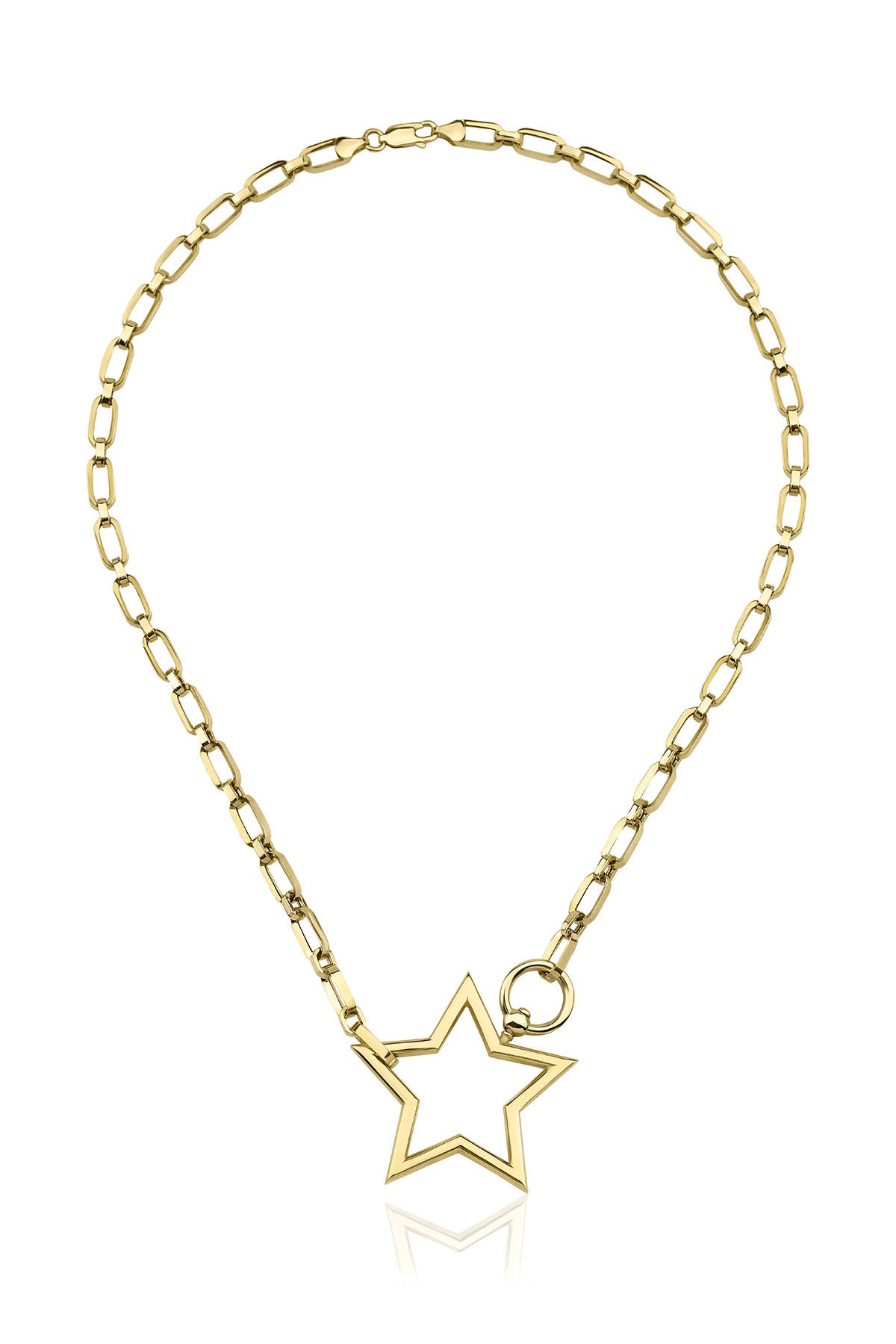 14K Gold Asteria Light Necklace