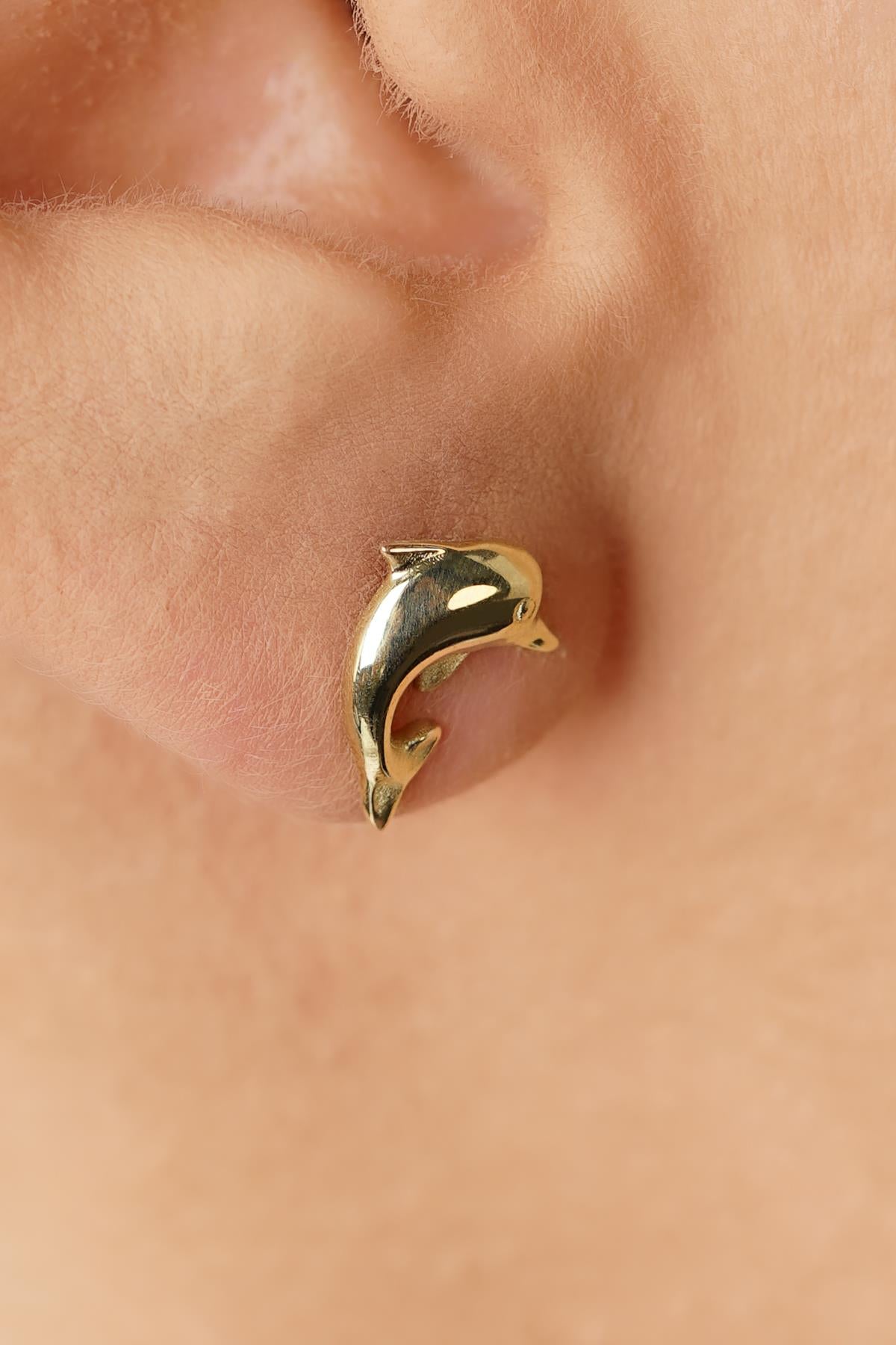 14K Gold Dolphin Studs, Sea Jewelry