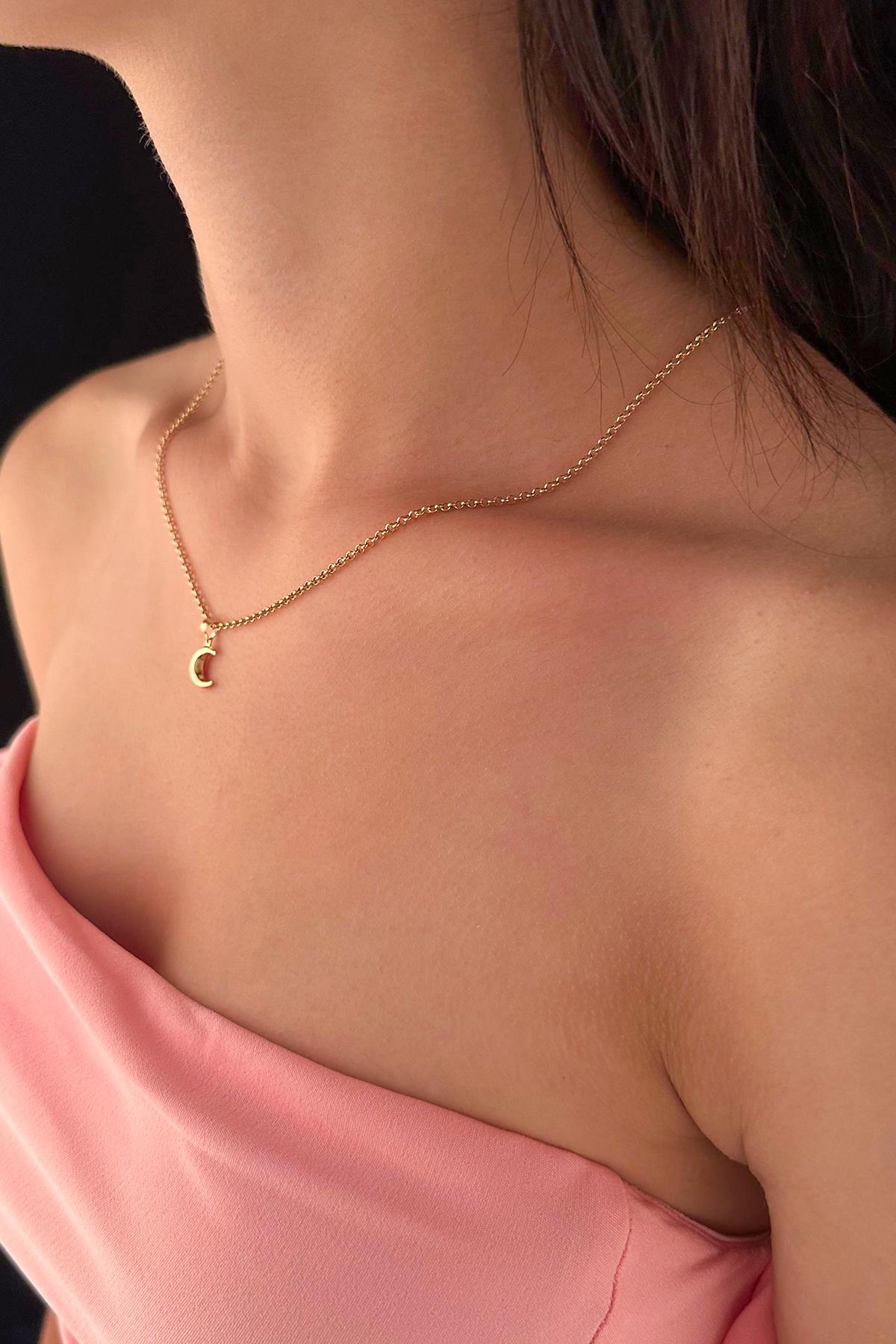 14K Gold Fine Rolo Chain Puff Crescent Necklace