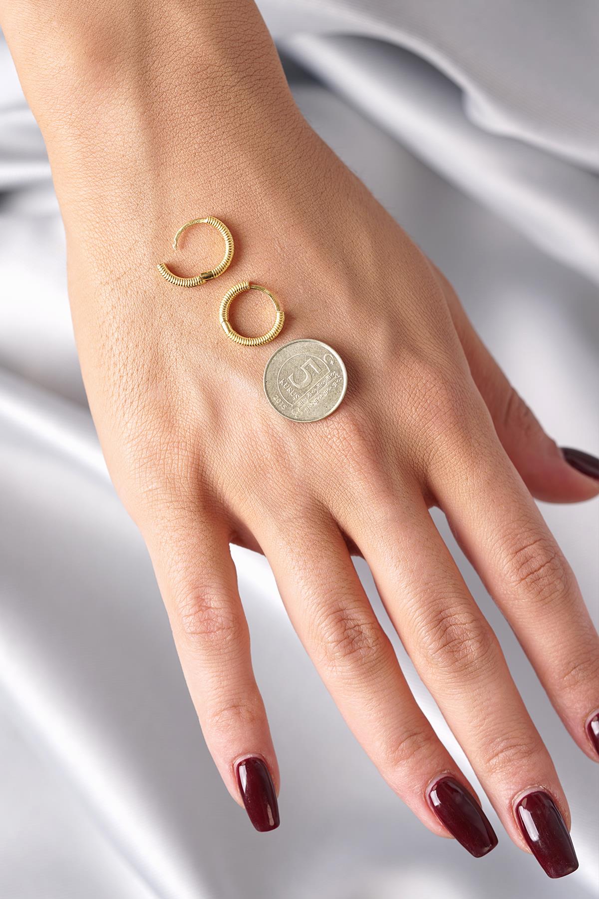 14K Gold Mini Ajda Hoop Earrings