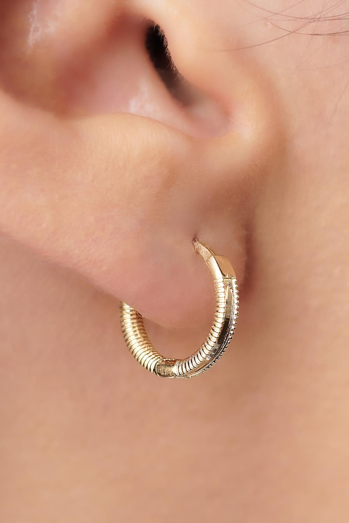 14K Gold Polished Mini Ajda Hoop Earrings