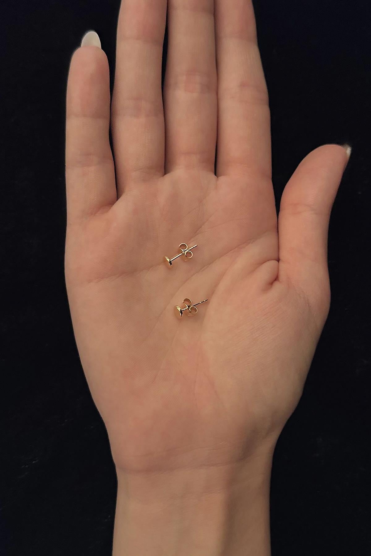 14K Gold Round Flat Stud Earrings