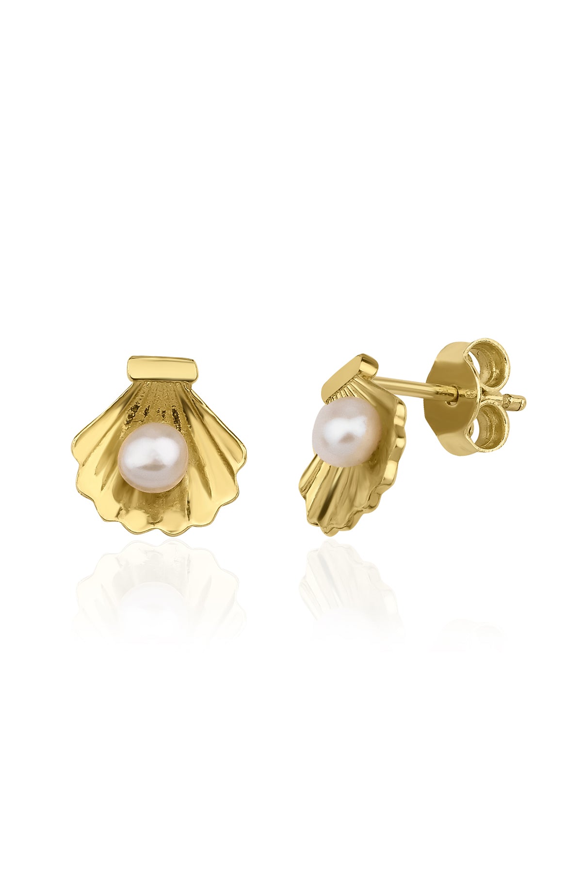 14K Gold Oyster Stud Earrings
