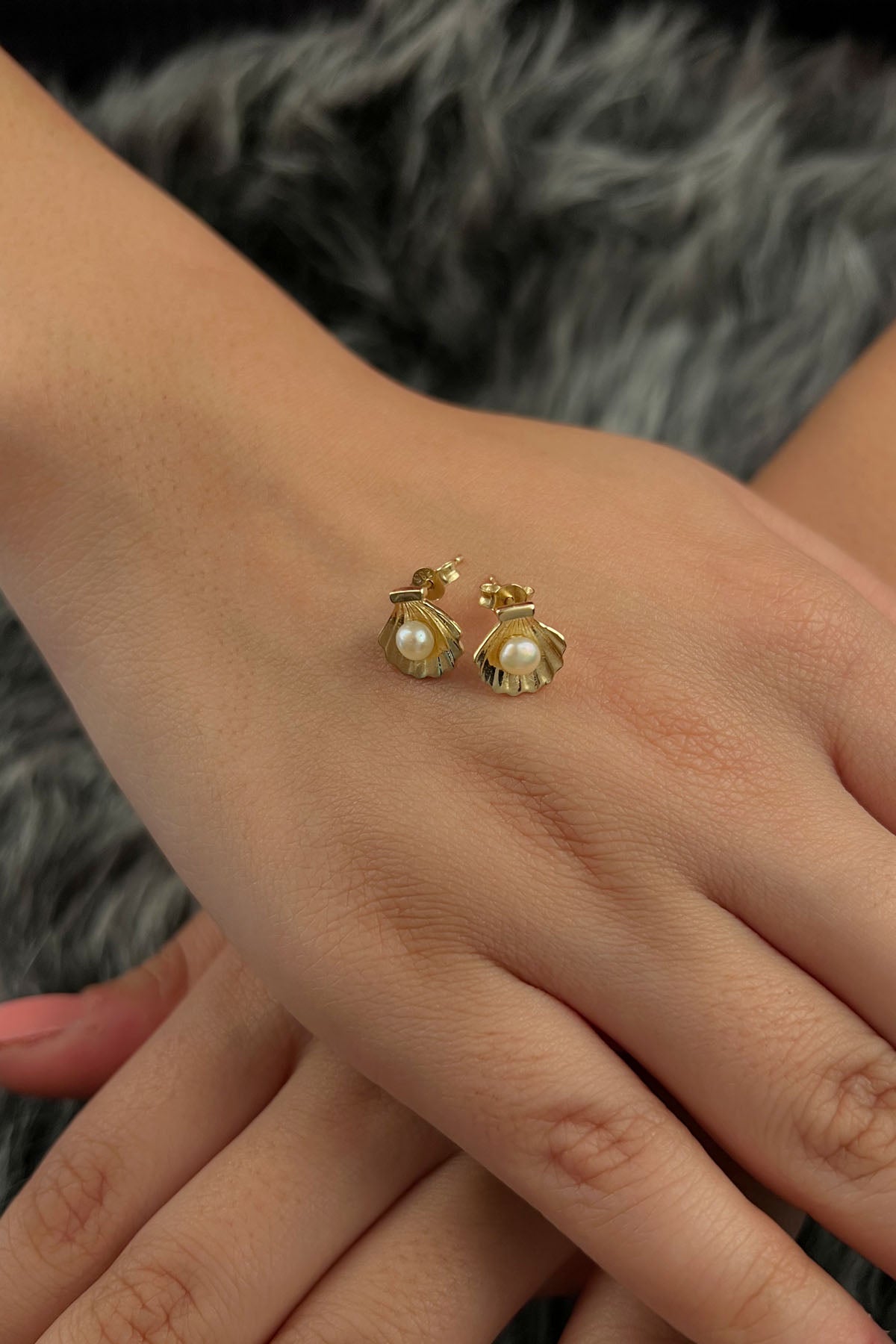 14K Gold Oyster Stud Earrings