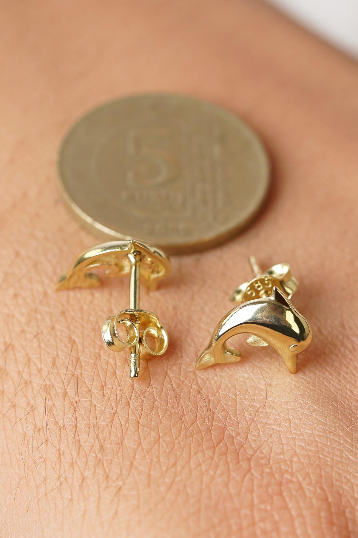 14K Gold Dolphin Studs, Sea Jewelry