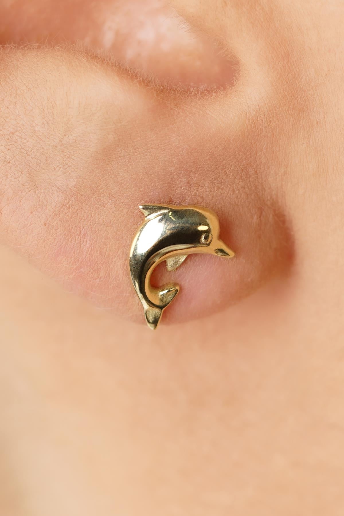 14K Gold Dolphin Studs, Sea Jewelry