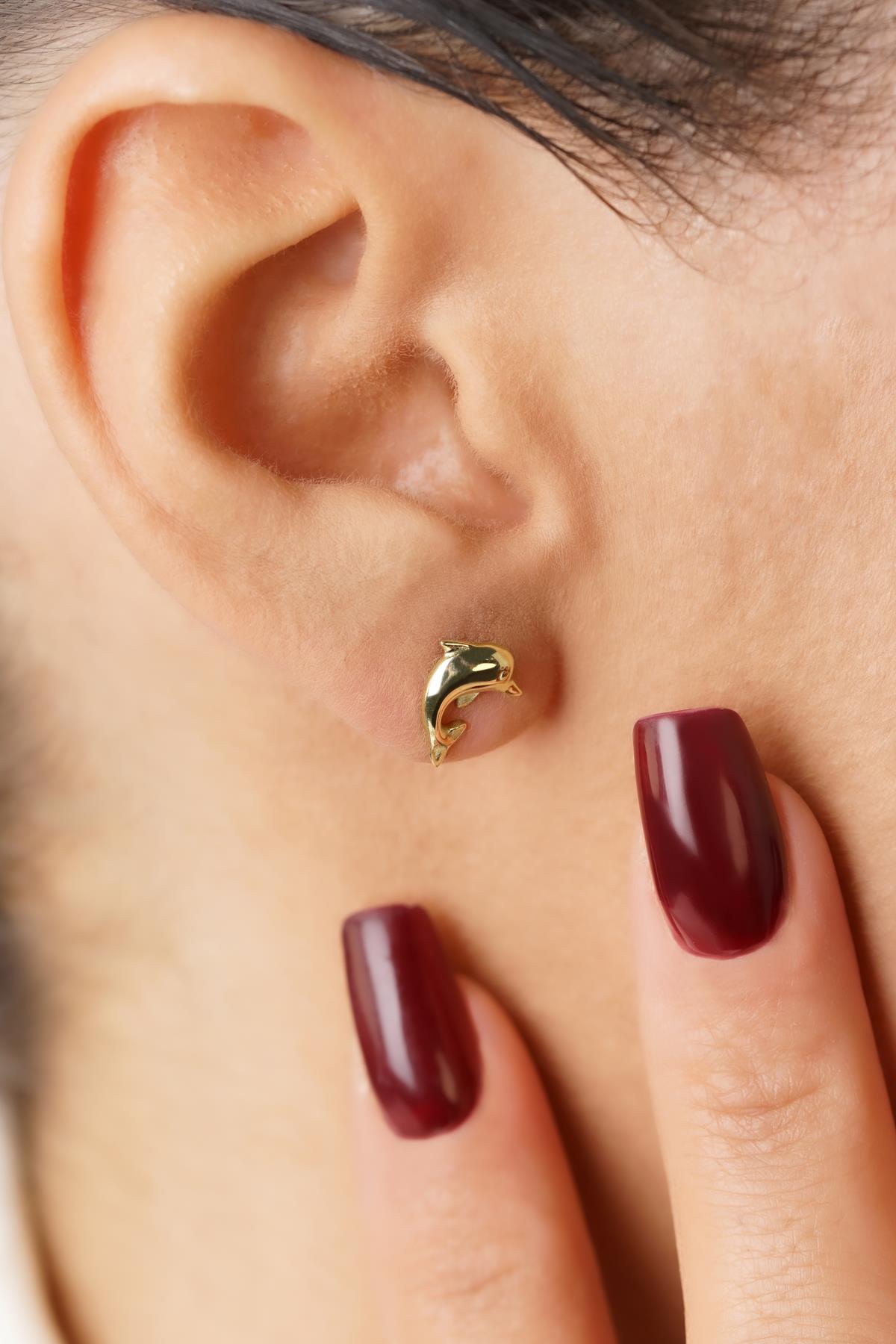 14K Gold Dolphin Studs, Sea Jewelry