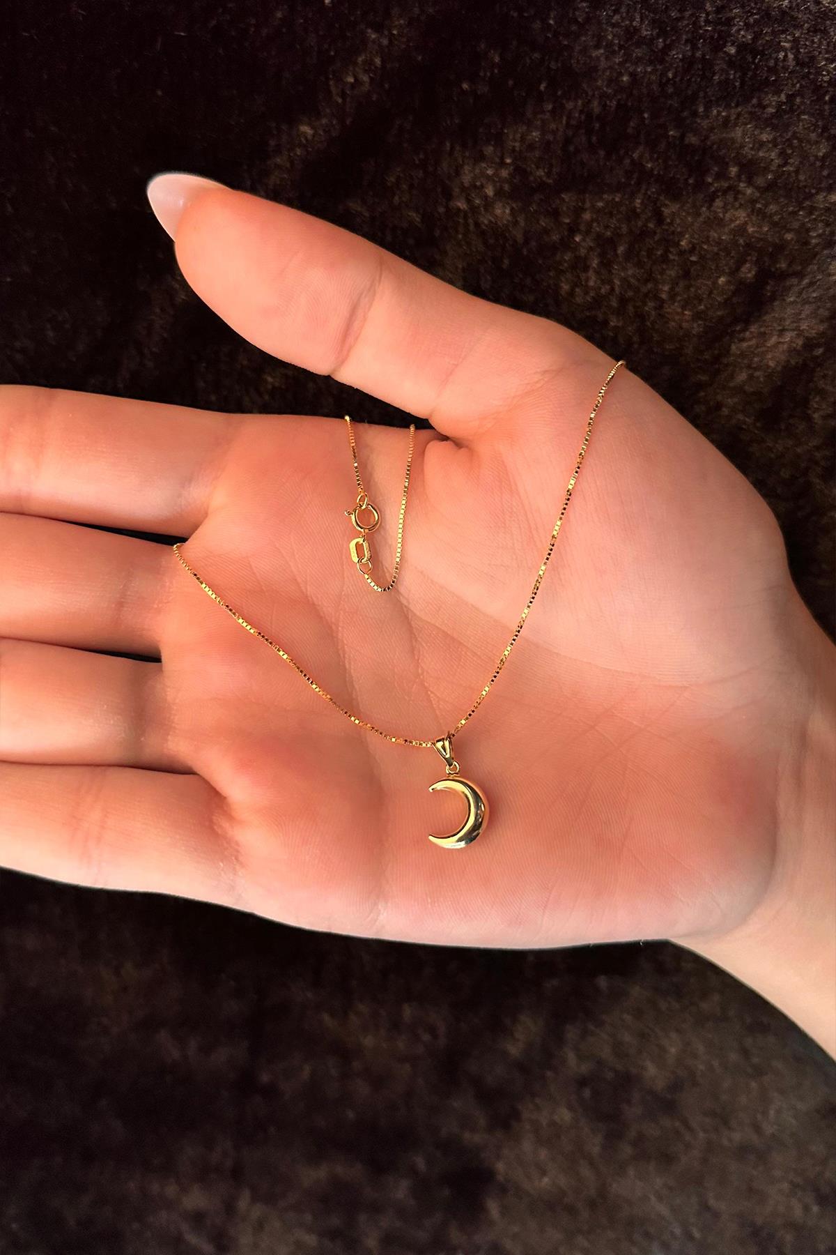 14K Gold Fine Box Chain Puff Crescent Necklace