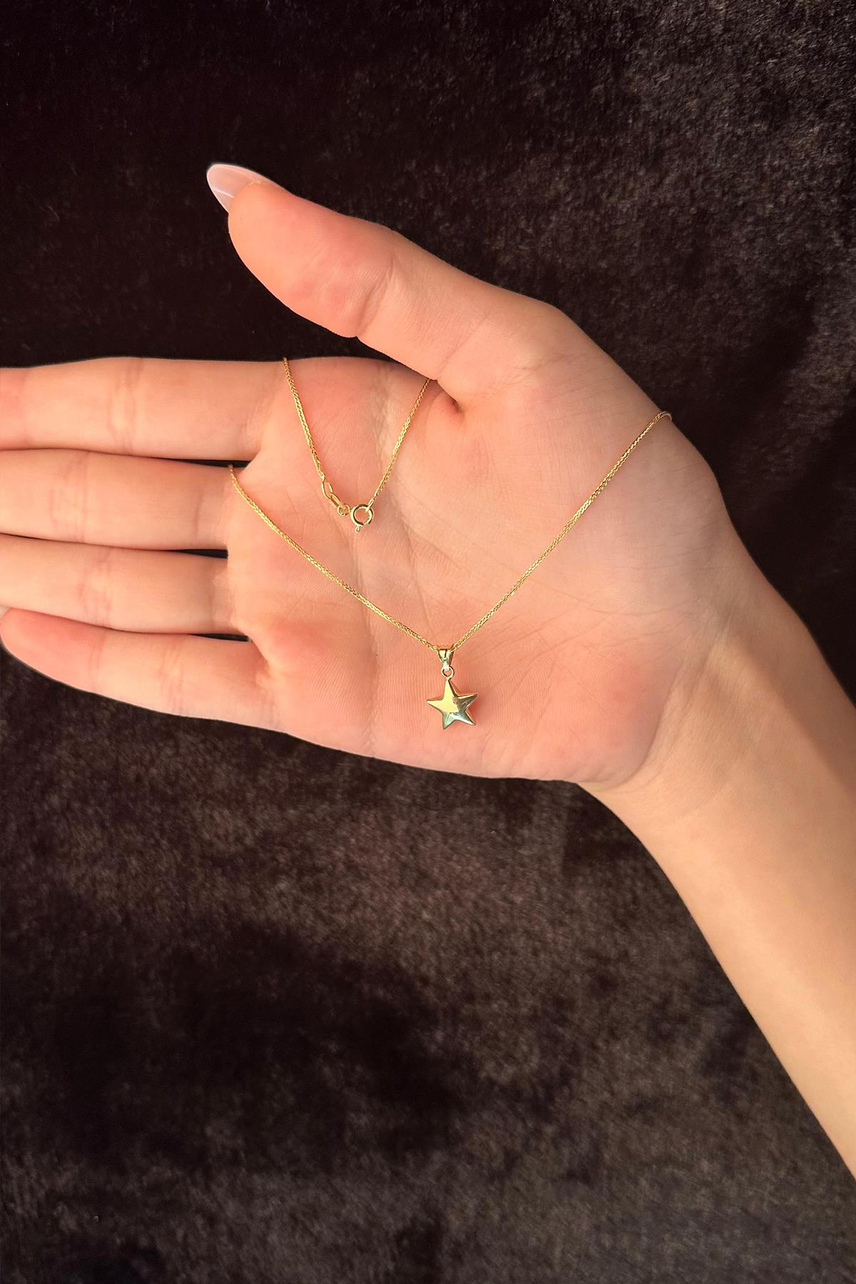 14K Gold Fine Foxtail Puffy Star Necklace