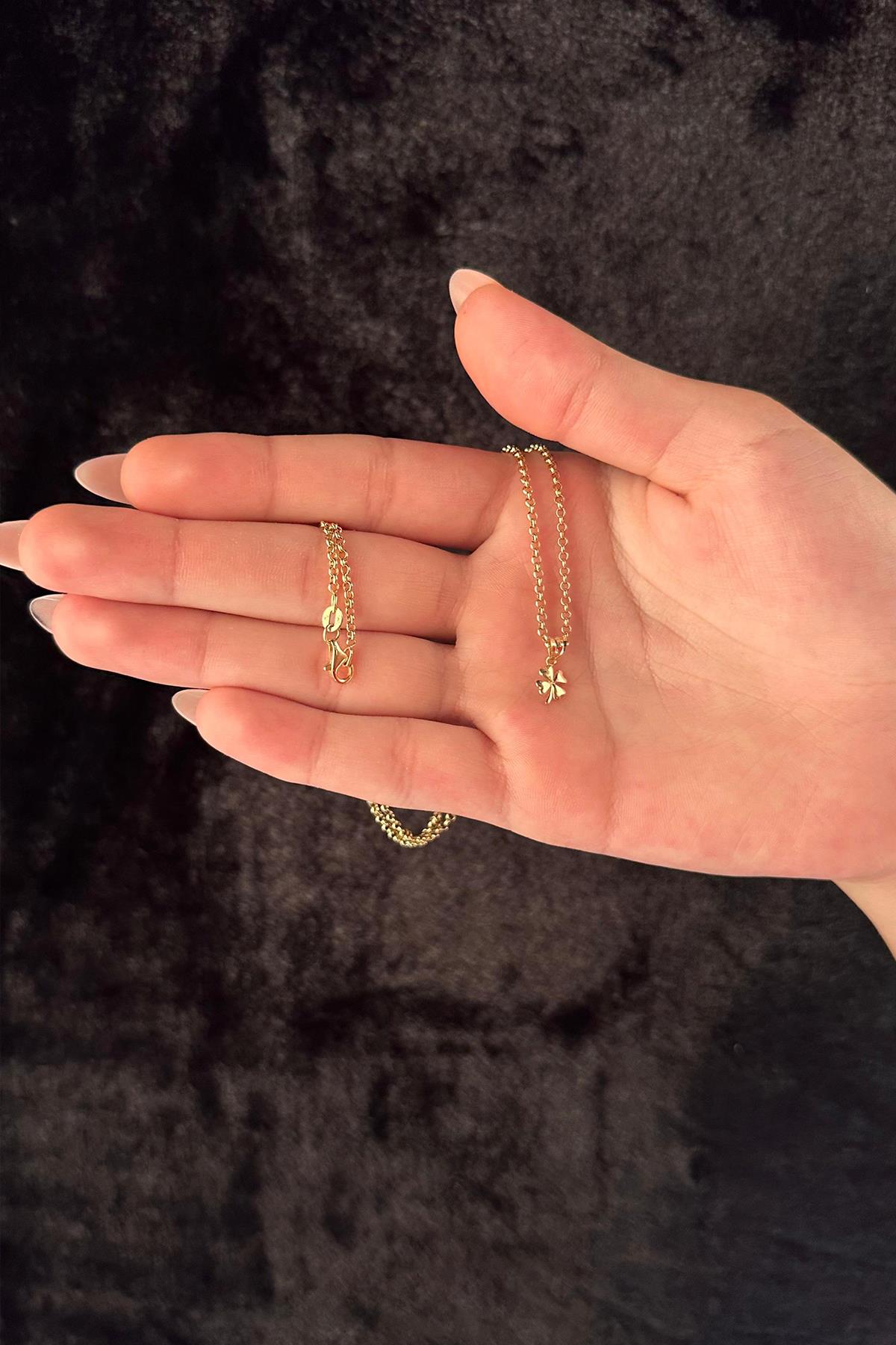 14K Gold Fine Rolo Chain Clover Necklace