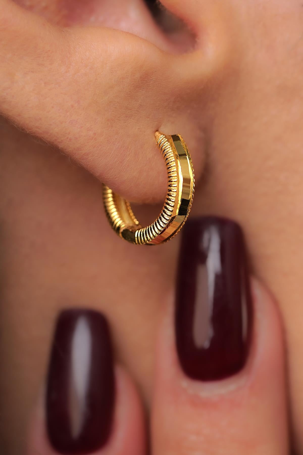 14K Gold Mini Ajda Hoop Earrings