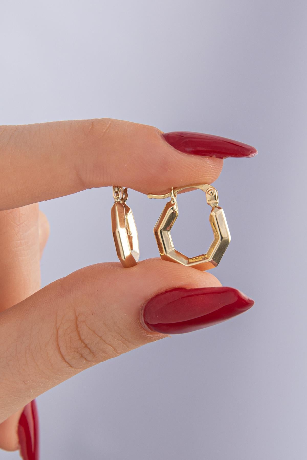 14K Gold Small Hexagon Hoop Earrings