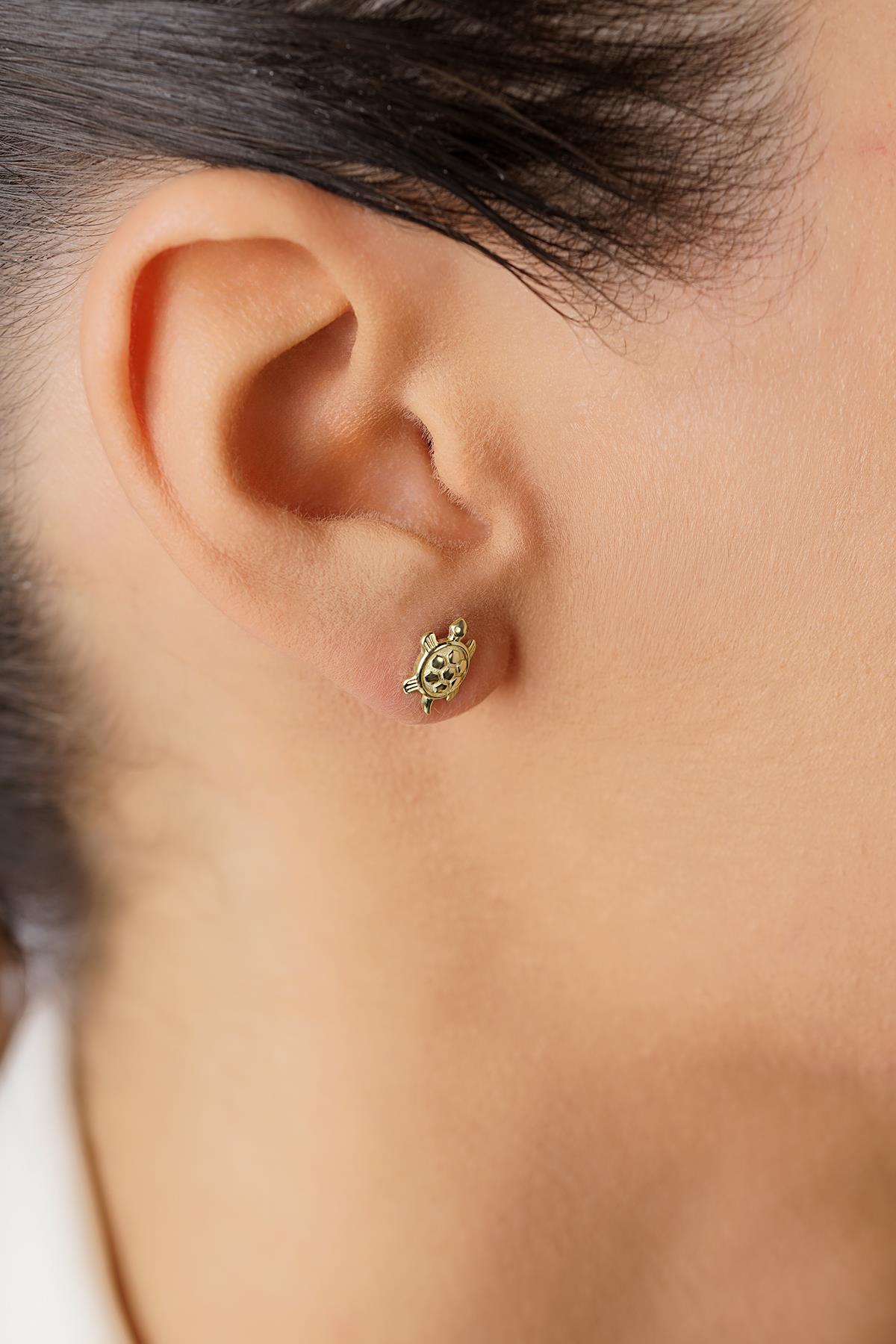 14K Gold Turtle Stud Earrings
